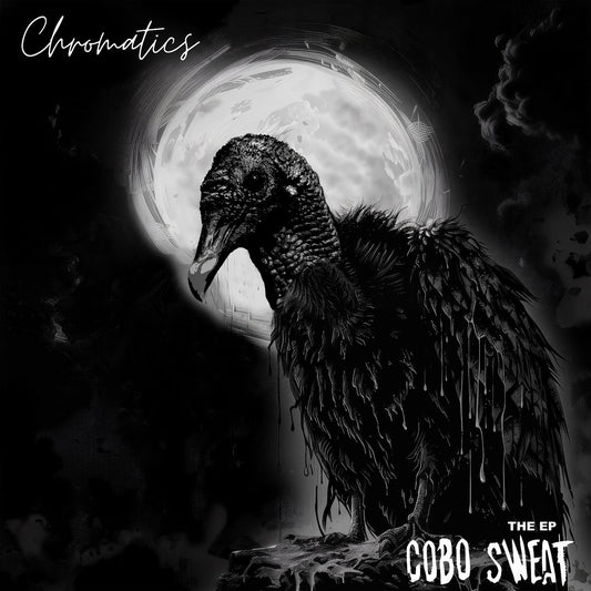 Chromatics "Cobo Sweat" EP Bandcamp Download Card